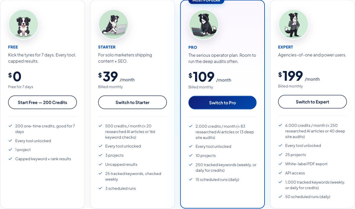 Digimetrics pricing cards showing credits and project limits, with white-label PDF export and API access on Expert