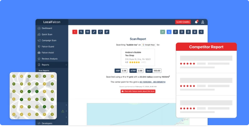 Local Falcon Scan Report with a local ranking grid, visibility metrics and competitor report